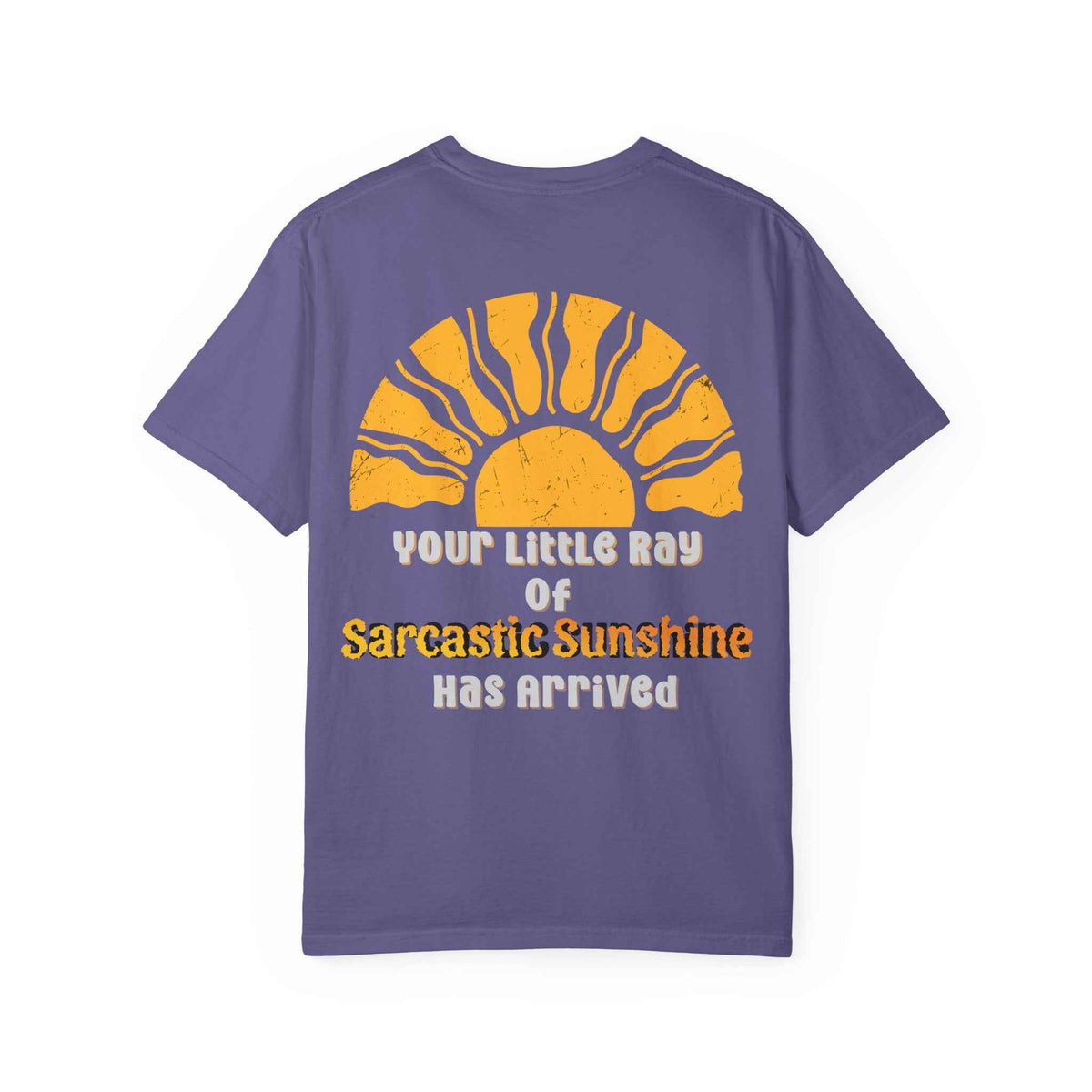 Ray Of Sunshine Sarcasm T-shirt